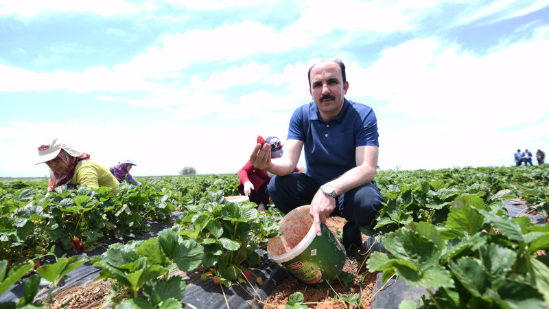  “HÜYÜK ÇİLEĞİ, AB TESCİLİ ALAN KONYA’MIZIN İLK ÜRÜNÜ OLDU”