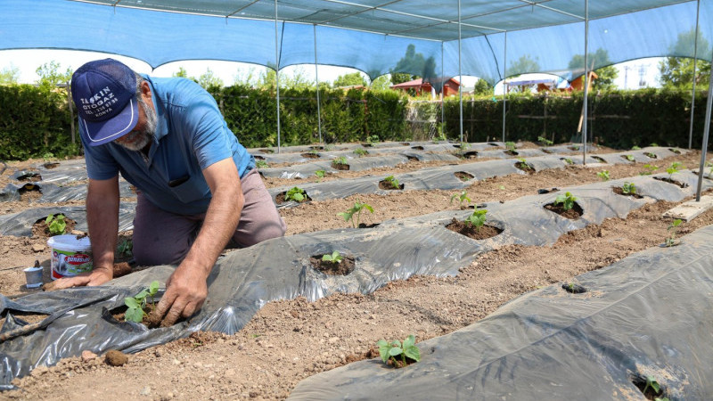 MERAM BELEDİYESİ HOBİ BAHÇELERİ İÇİN BAŞVURULAR BAŞLIYOR