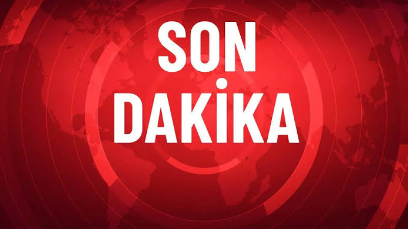 Konya’da küçük kız çocuğu sokak köpeklerinin saldırısında yaşamını yitirdi