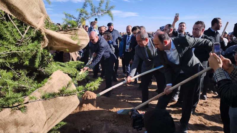 Konya'da geleceğe nefes Konya'ya hayat olmak için 15 bin fidan diktiler