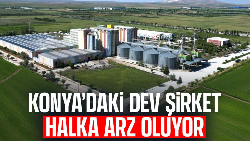 Konyalı şirket halka arz oluyor: Golda Gıda tarihi açıkladı, İşte Tüm Detaylar