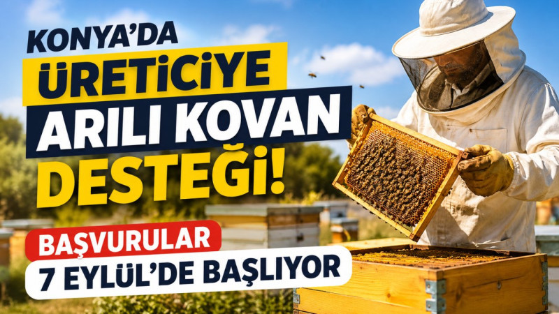 Konya’da Üreticiye Arılı Kovan Desteği! Başvurular 7 Eylül’de Başlıyor